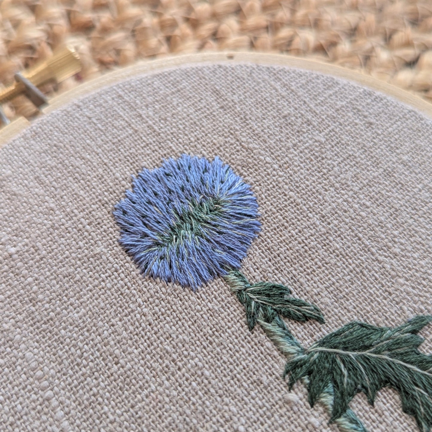 Globe Thistle